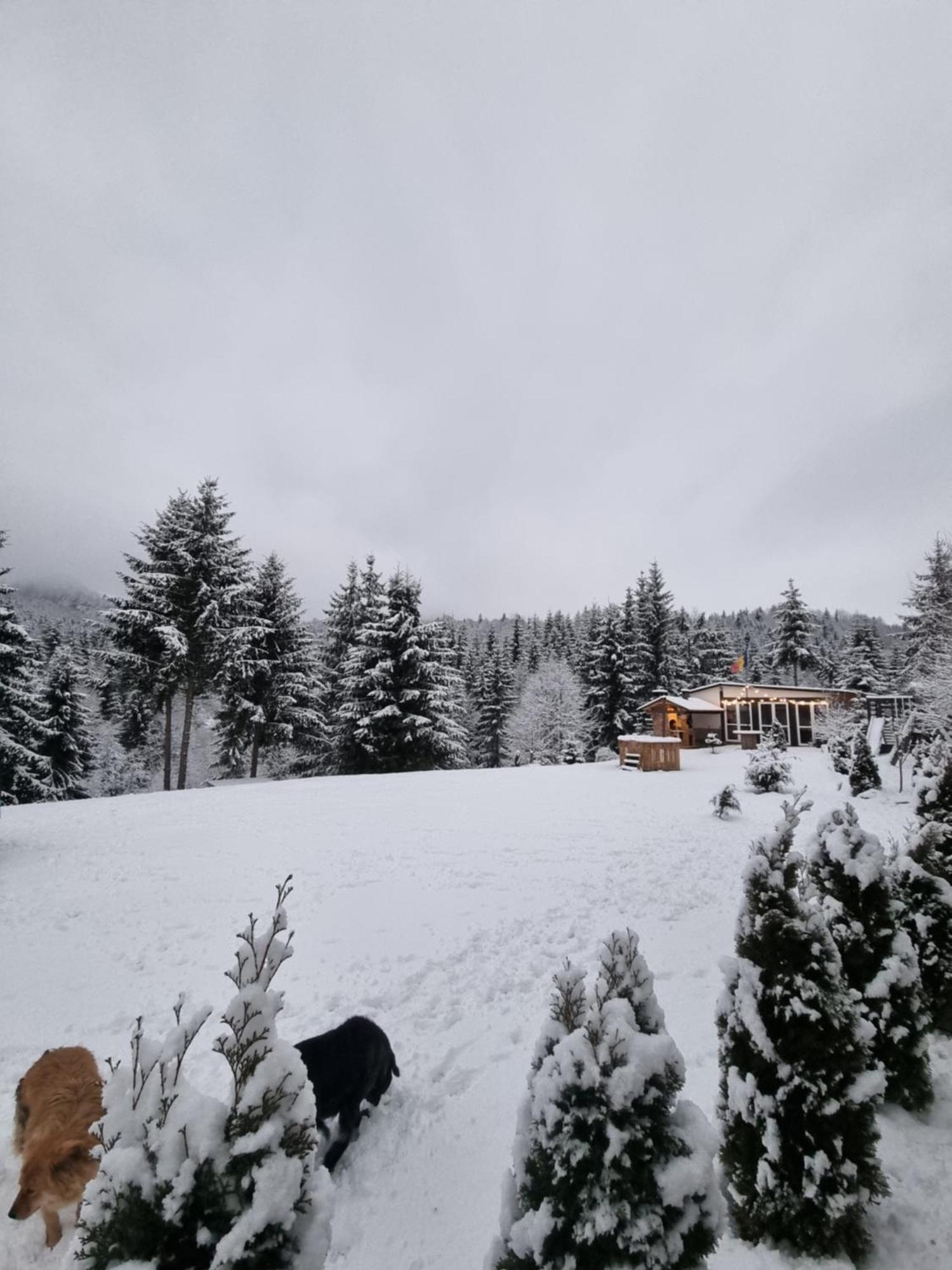 Cabana Casaru Colibiţa Εξωτερικό φωτογραφία